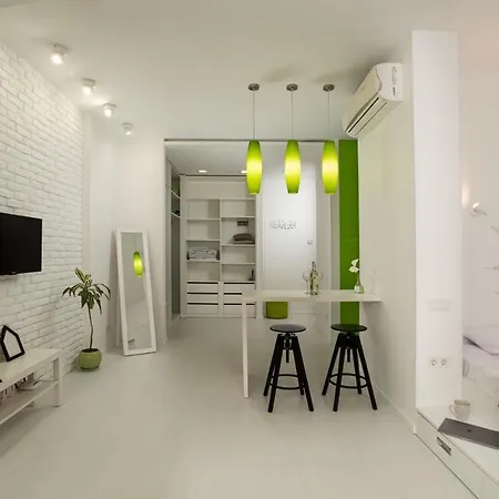 Apartment White Attic *